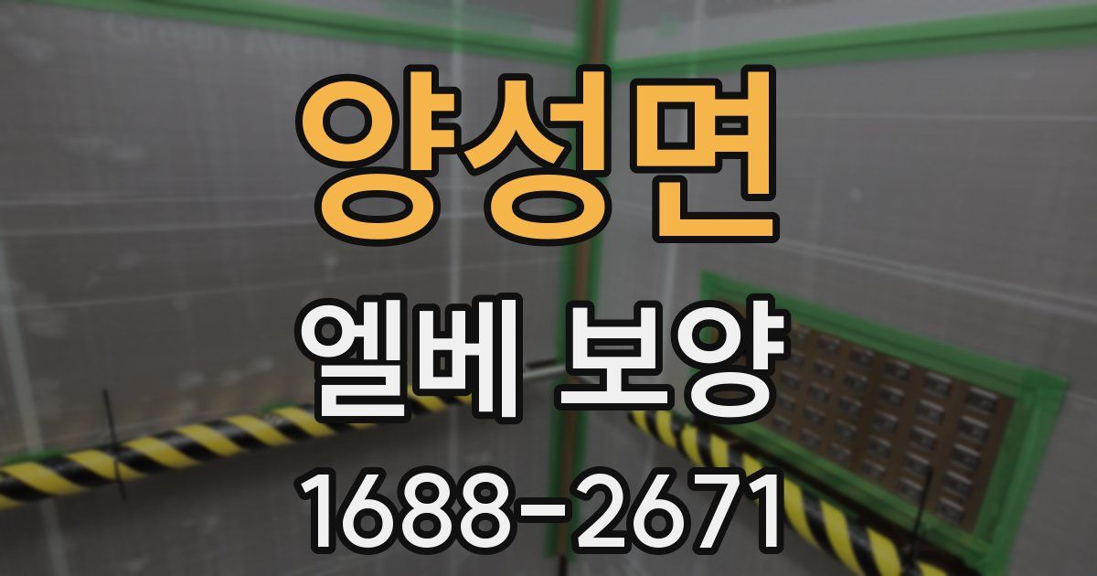 양성면 엘베 보양