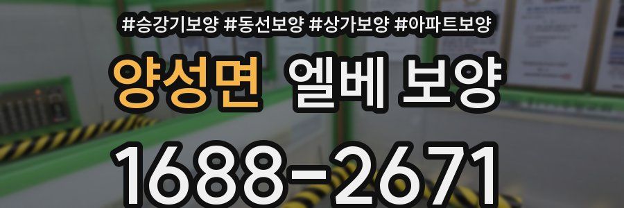 양성면 엘베 보양