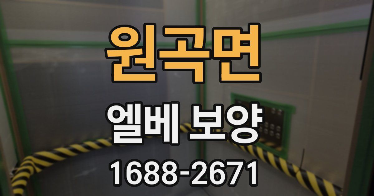 원곡면 엘베 보양