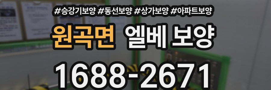 원곡면 엘베 보양