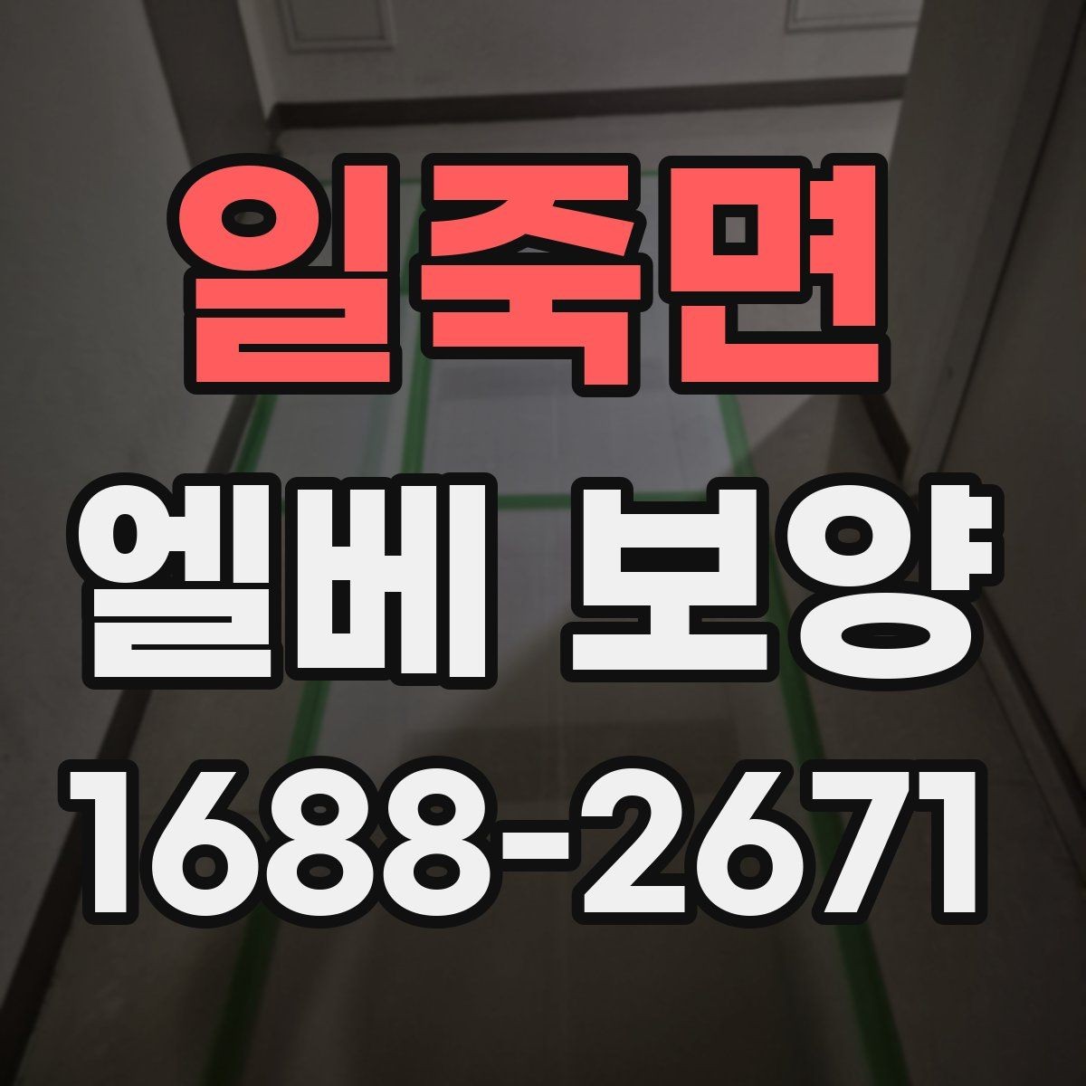 일죽면 엘베 보양 벽면 손상까지 고려한 작업 순서