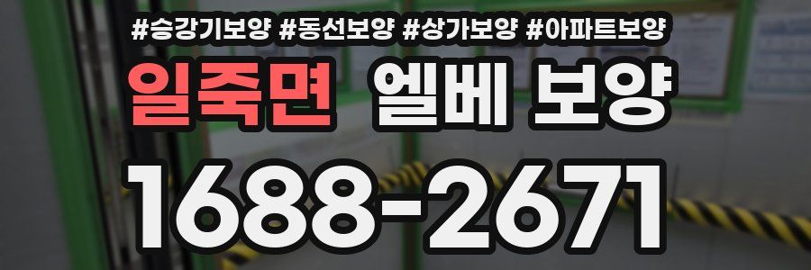 일죽면 엘베 보양