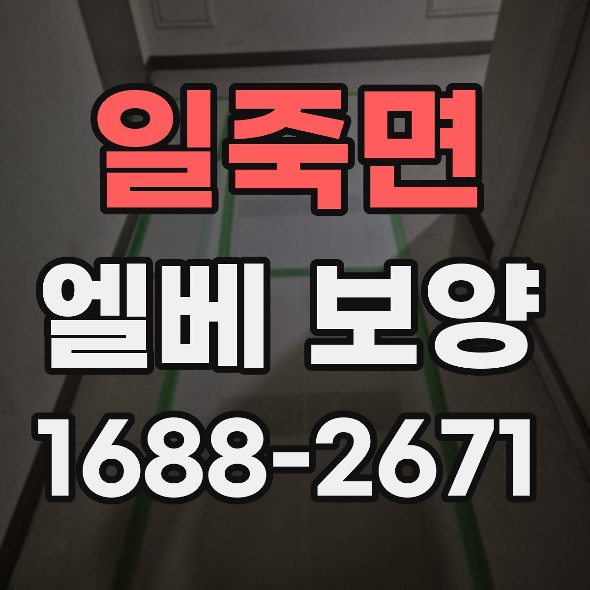 일죽면 엘베 보양