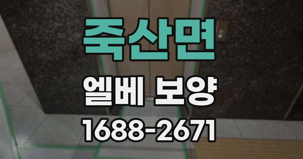 죽산면 엘베 보양