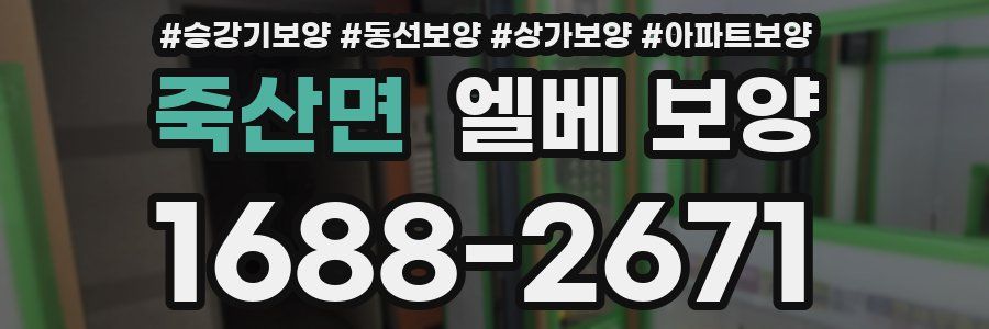 죽산면 엘베 보양