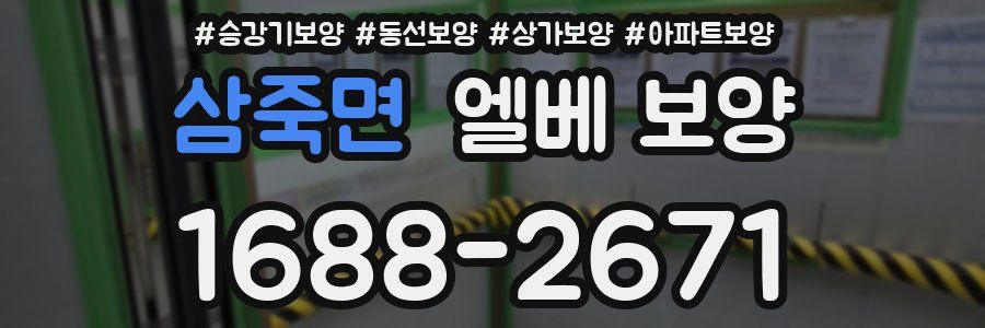 삼죽면 엘베 보양