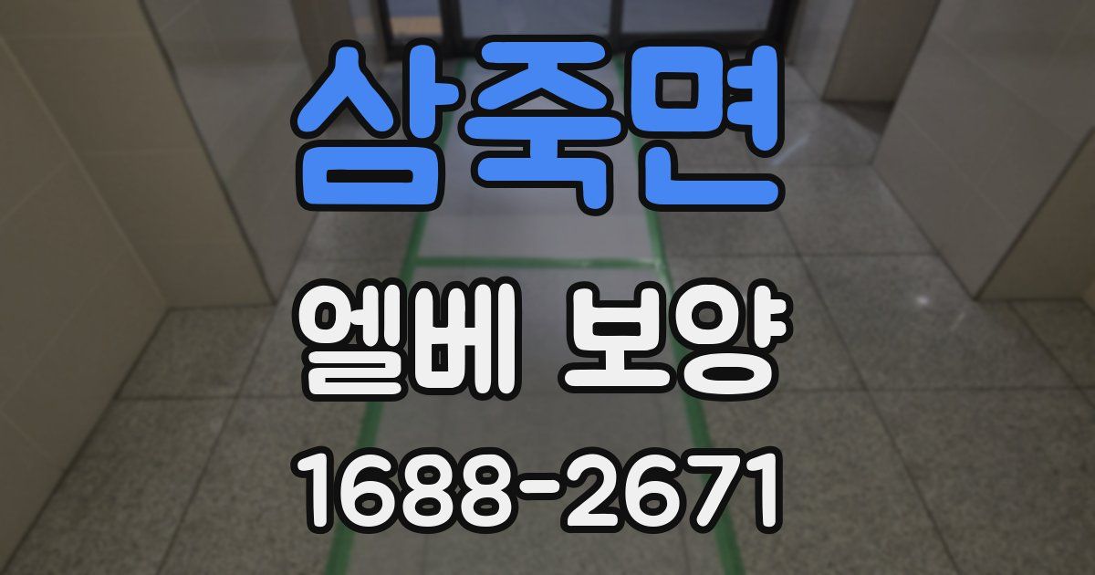 삼죽면 엘베 보양
