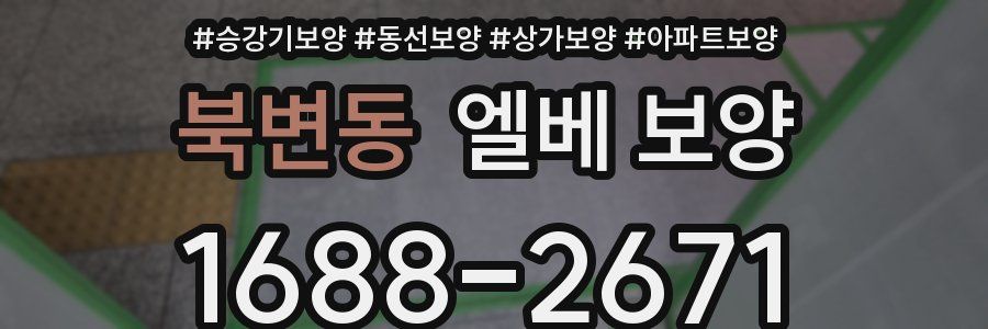 북변동 엘베 보양