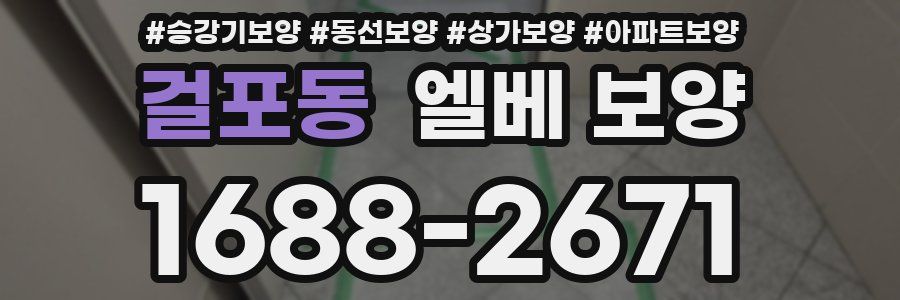 걸포동 엘베 보양