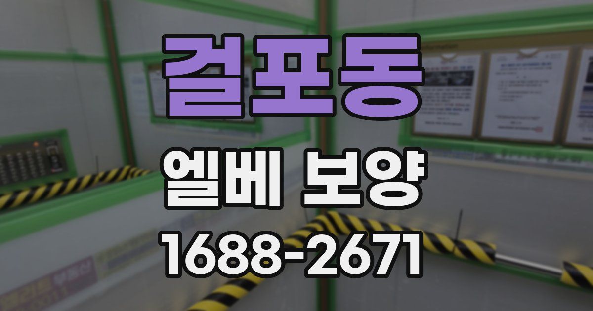 걸포동 엘베 보양