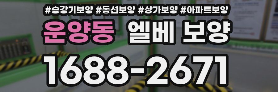 운양동 엘베 보양