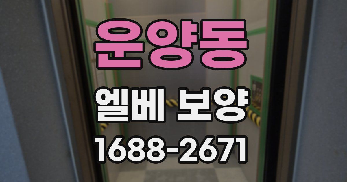 운양동 엘베 보양