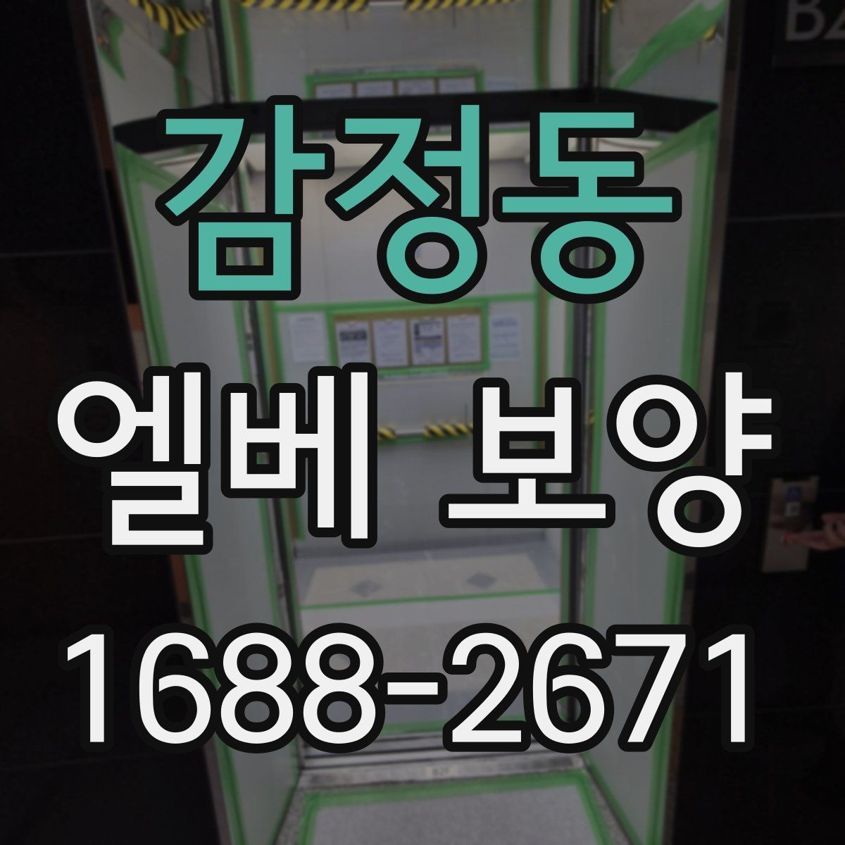 감정동 엘베 보양 이사 동선이 겹칠 때 현장 운영 요령