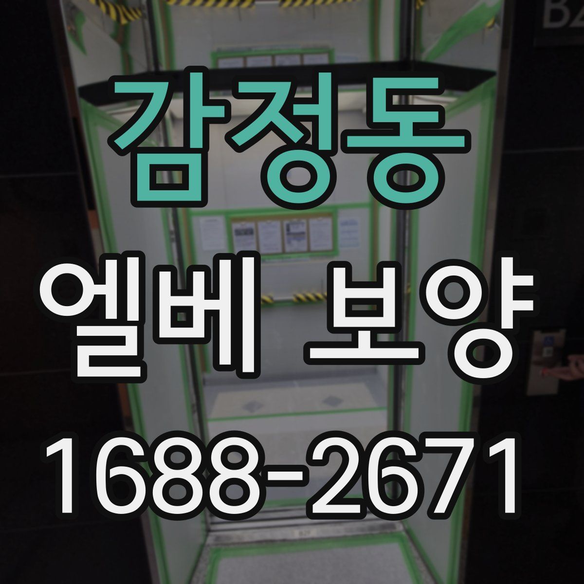 감정동 엘베 보양