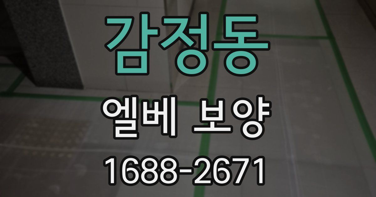 감정동 엘베 보양