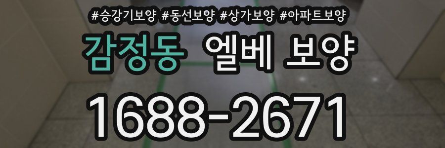 감정동 엘베 보양