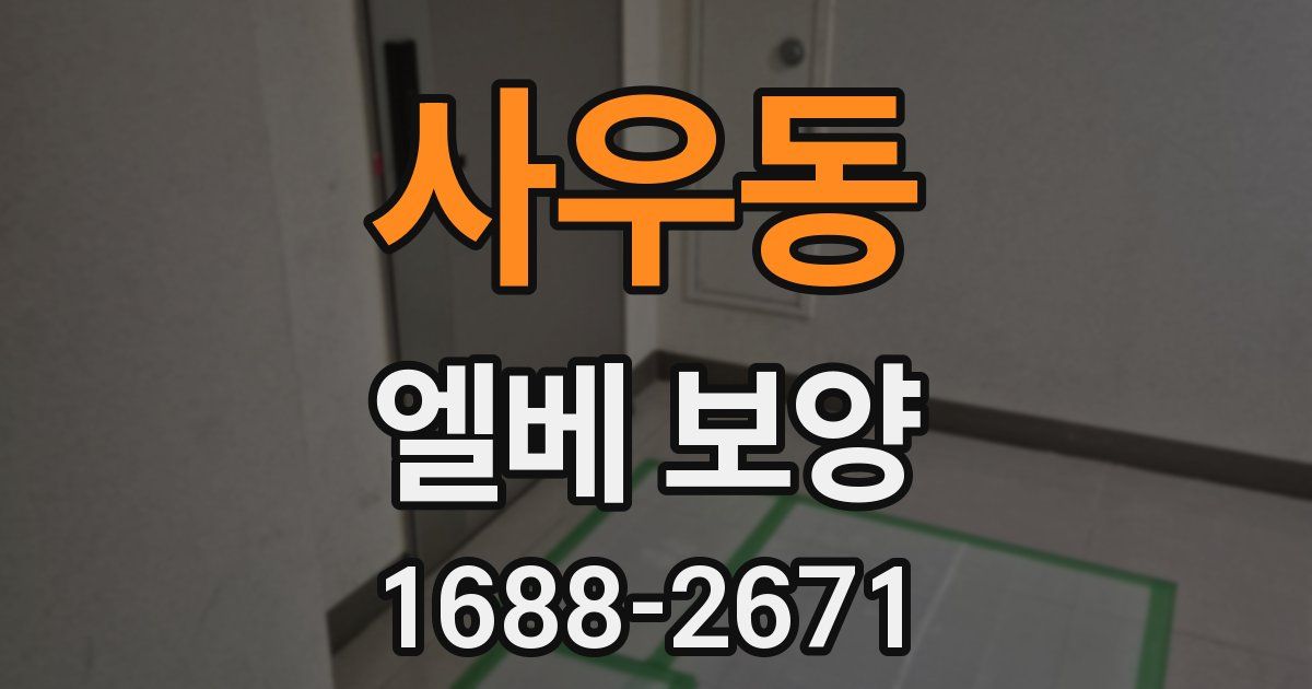 사우동 엘베 보양