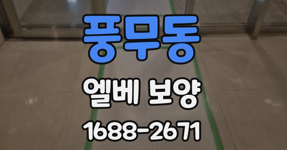 풍무동 엘베 보양