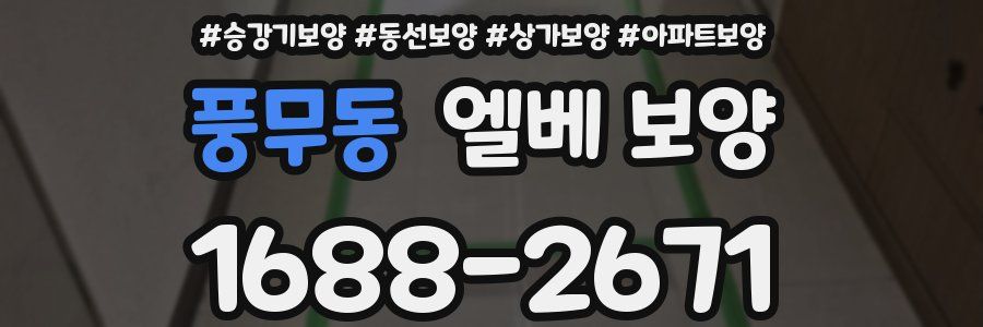 풍무동 엘베 보양