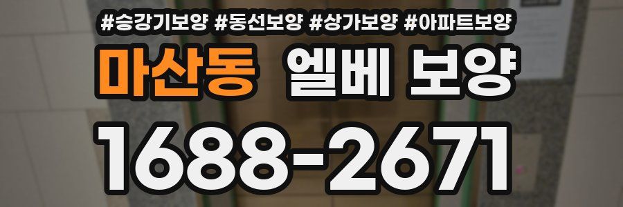 마산동 엘베 보양
