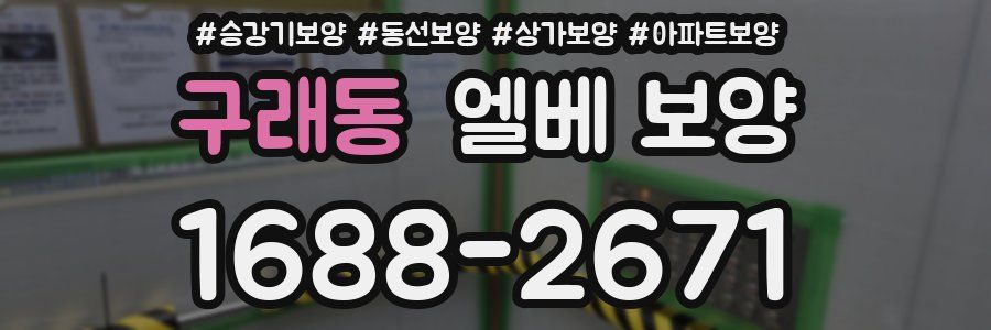 구래동 엘베 보양