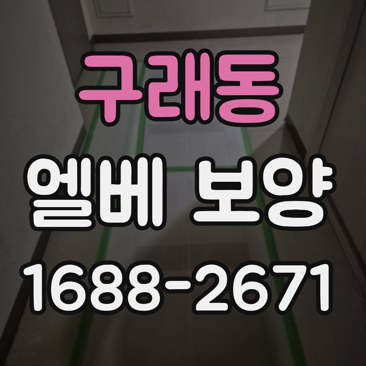 구래동 엘베 보양