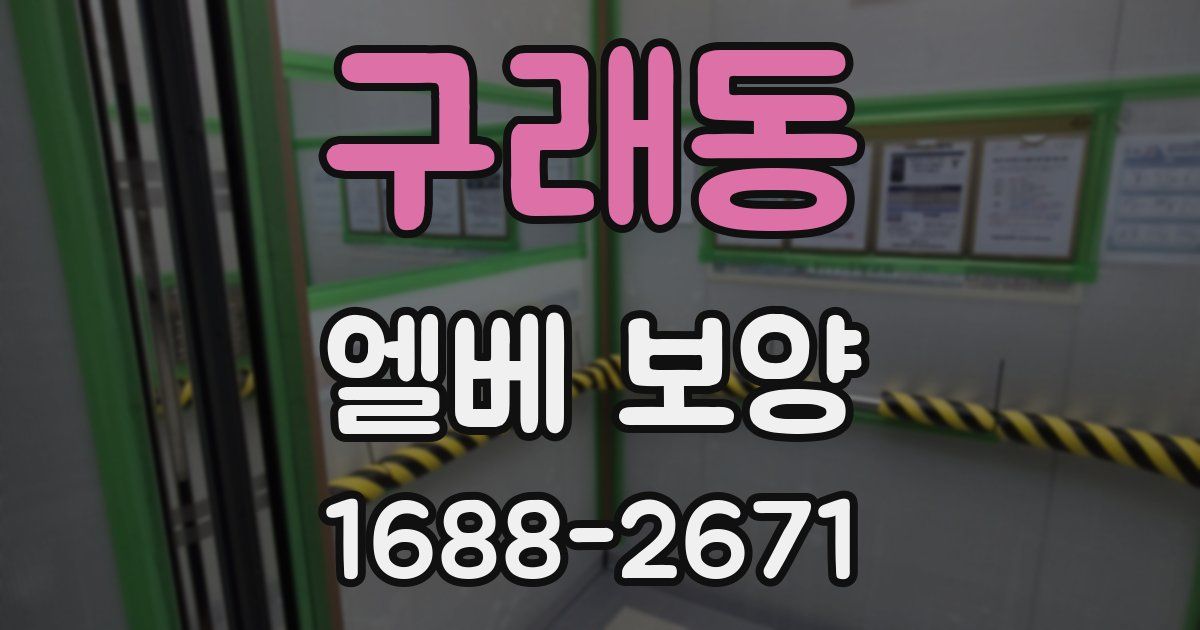 구래동 엘베 보양