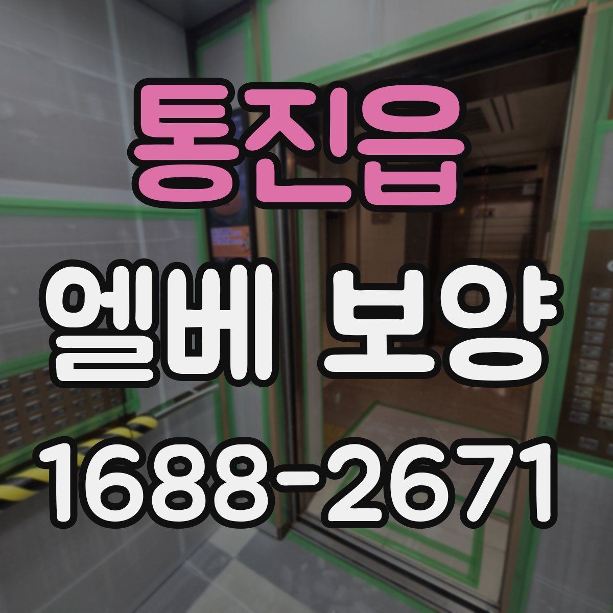 통진읍 엘베 보양 훼손 흔적 점검과 정리 방법