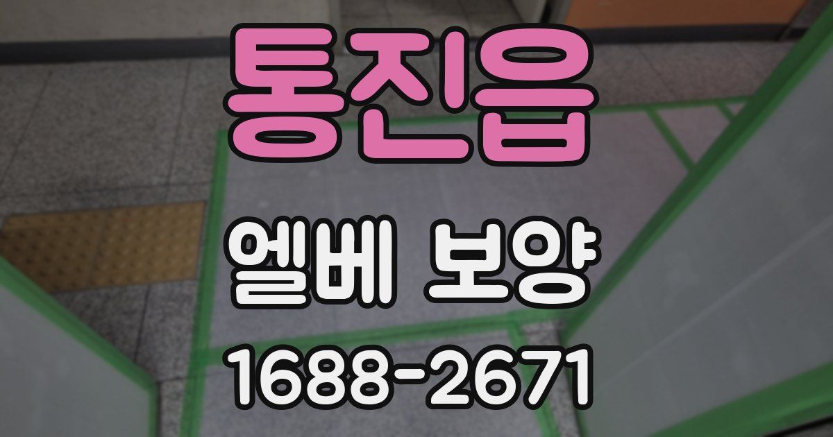 통진읍 엘베 보양