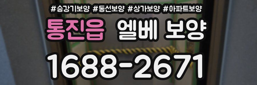 통진읍 엘베 보양