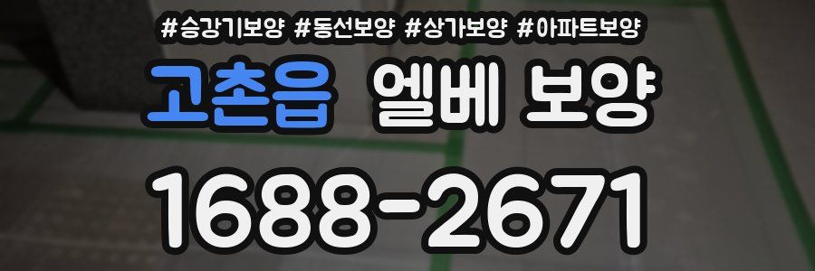 고촌읍 엘베 보양
