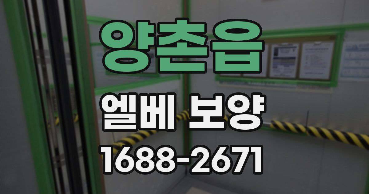 양촌읍 엘베 보양