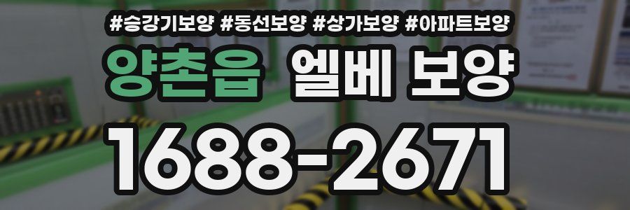 양촌읍 엘베 보양