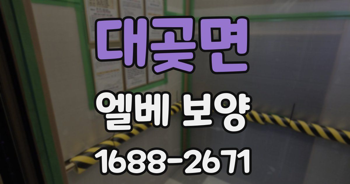 대곶면 엘베 보양