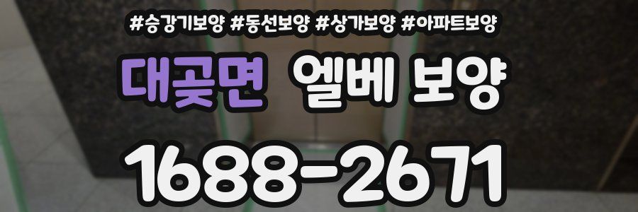 대곶면 엘베 보양