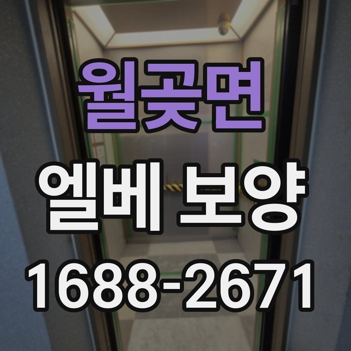 월곶면 엘베 보양 마감 품질을 살리는 기본 점검 항목