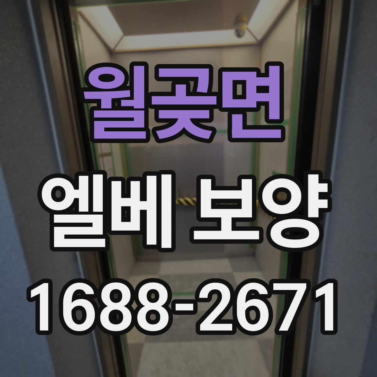 월곶면 엘베 보양