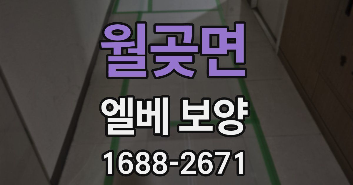 월곶면 엘베 보양