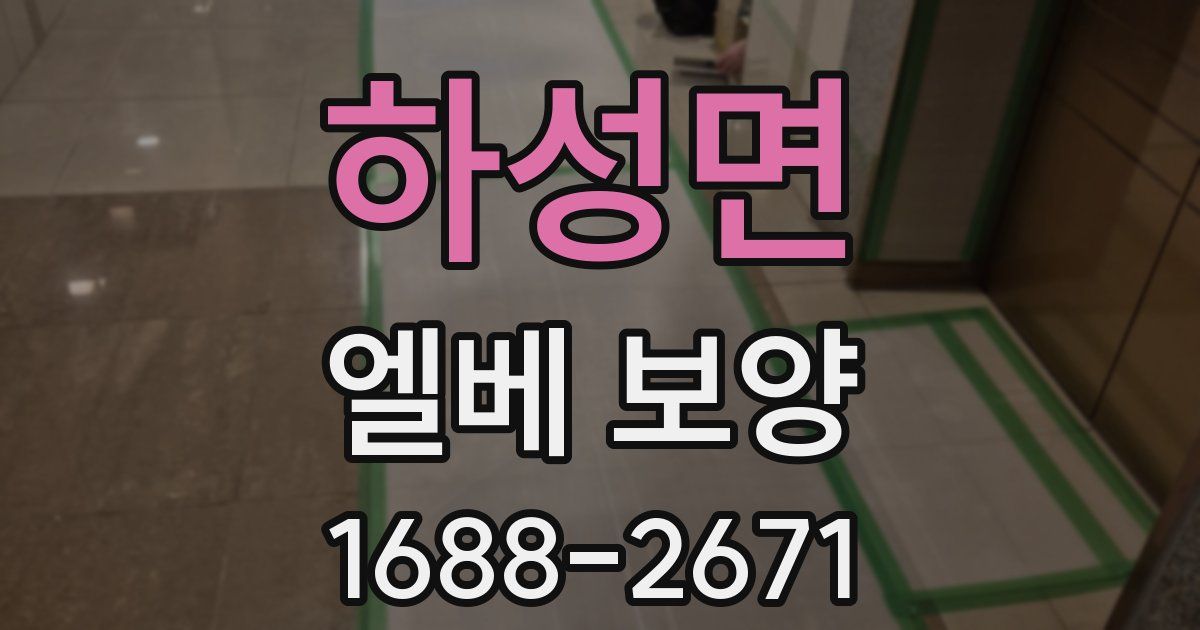 하성면 엘베 보양