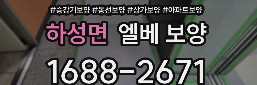 하성면 엘베 보양