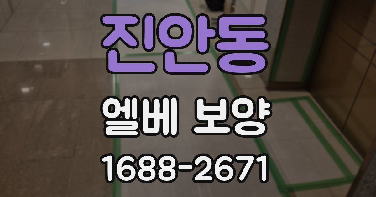진안동 엘베 보양