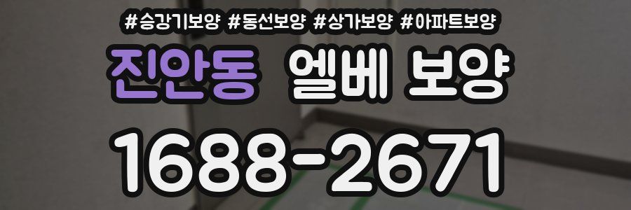 진안동 엘베 보양