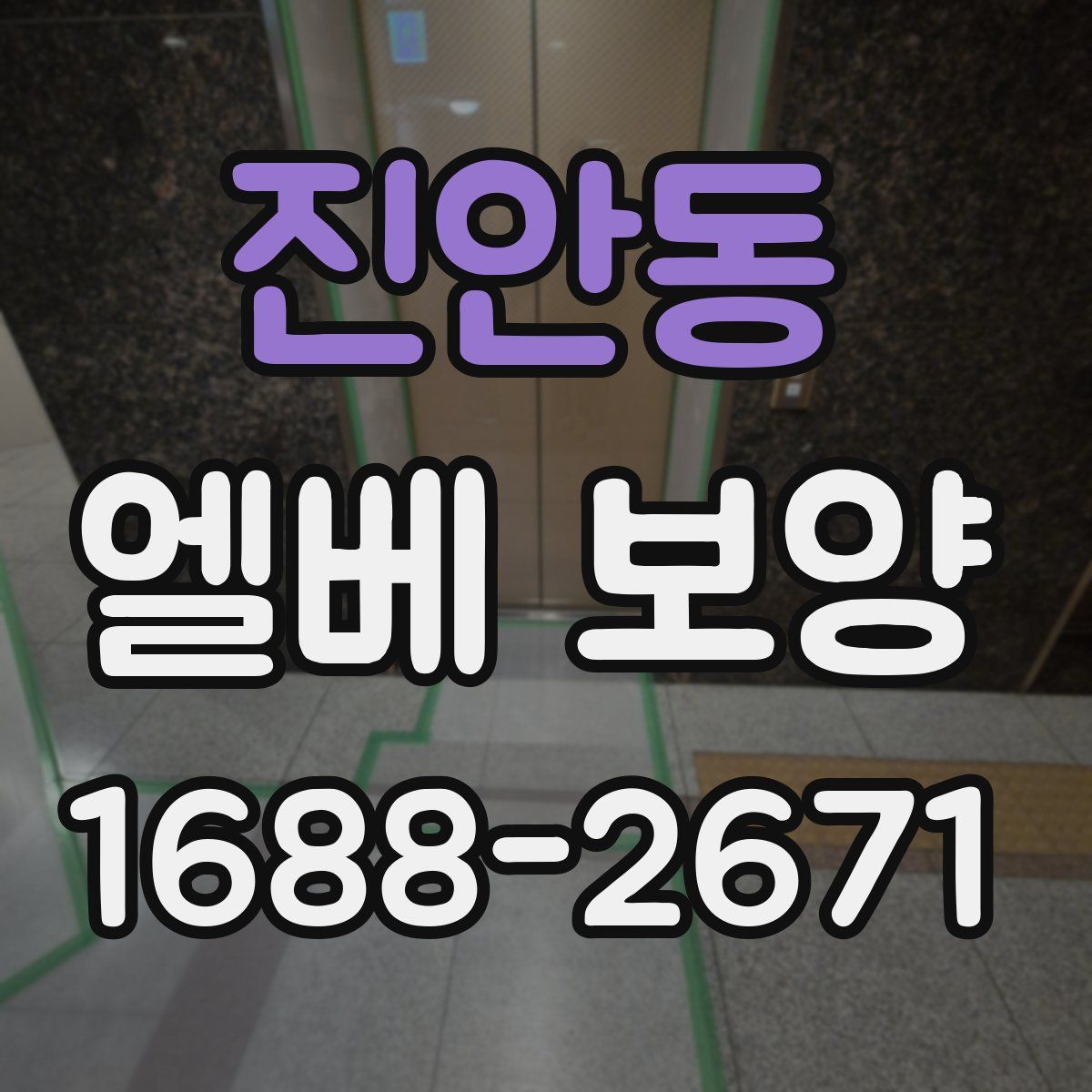 진안동 엘베 보양
