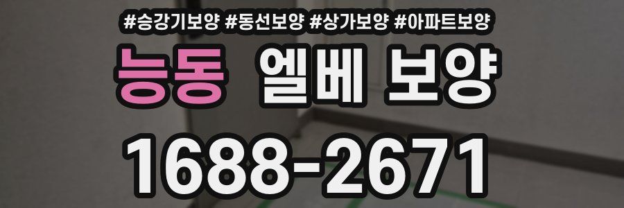 능동 엘베 보양