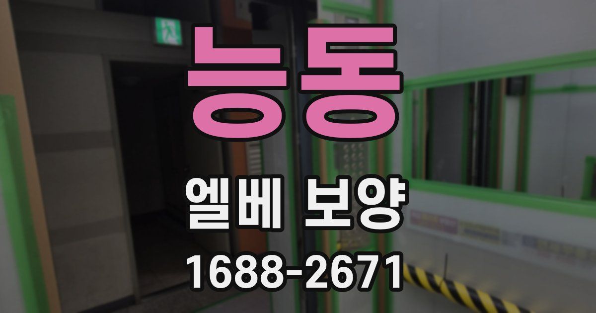 능동 엘베 보양