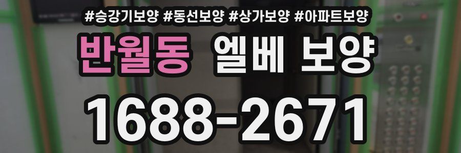 반월동 엘베 보양