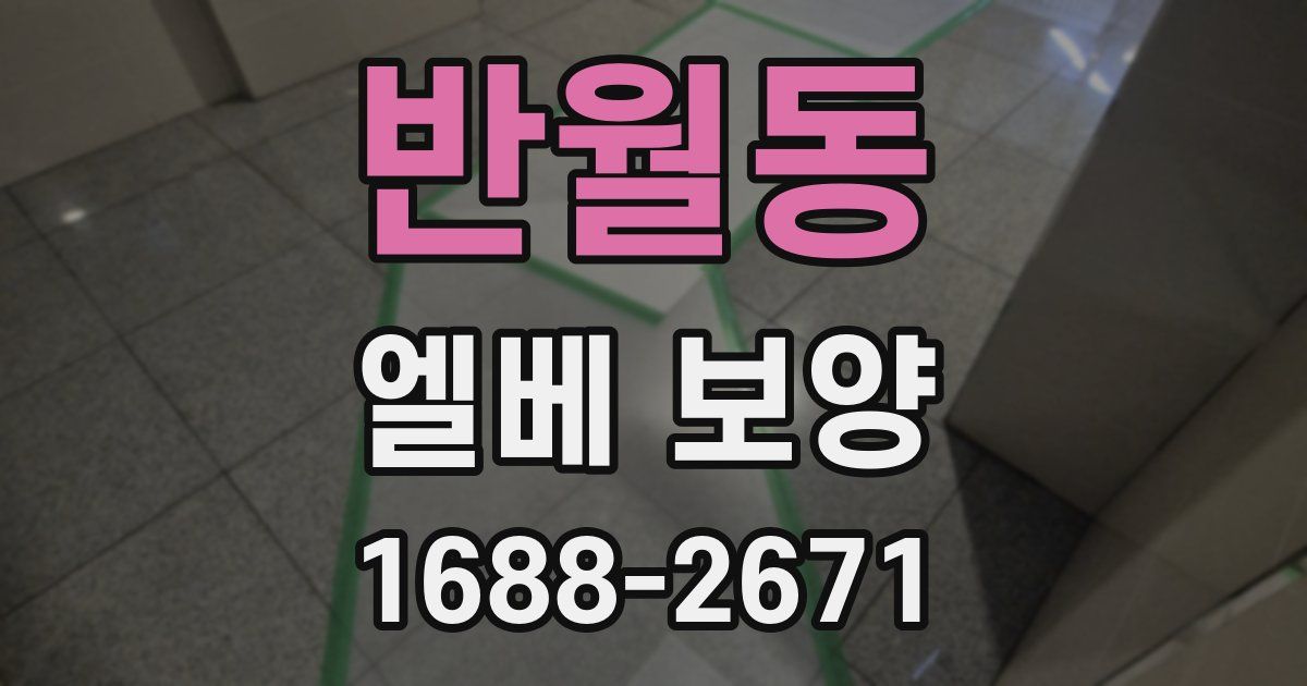 반월동 엘베 보양