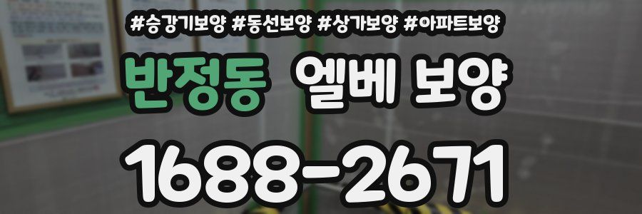반정동 엘베 보양