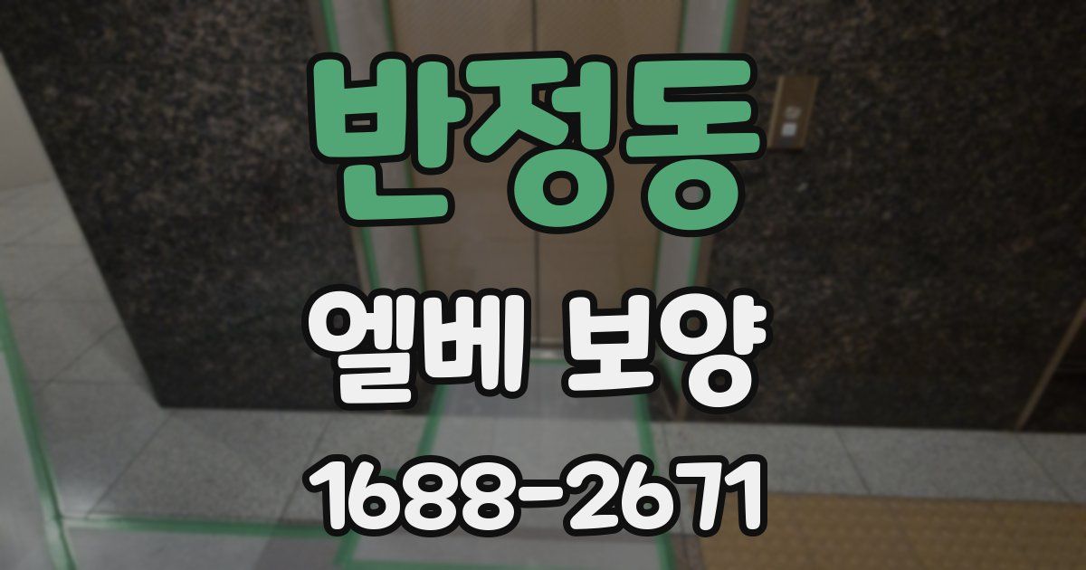 반정동 엘베 보양