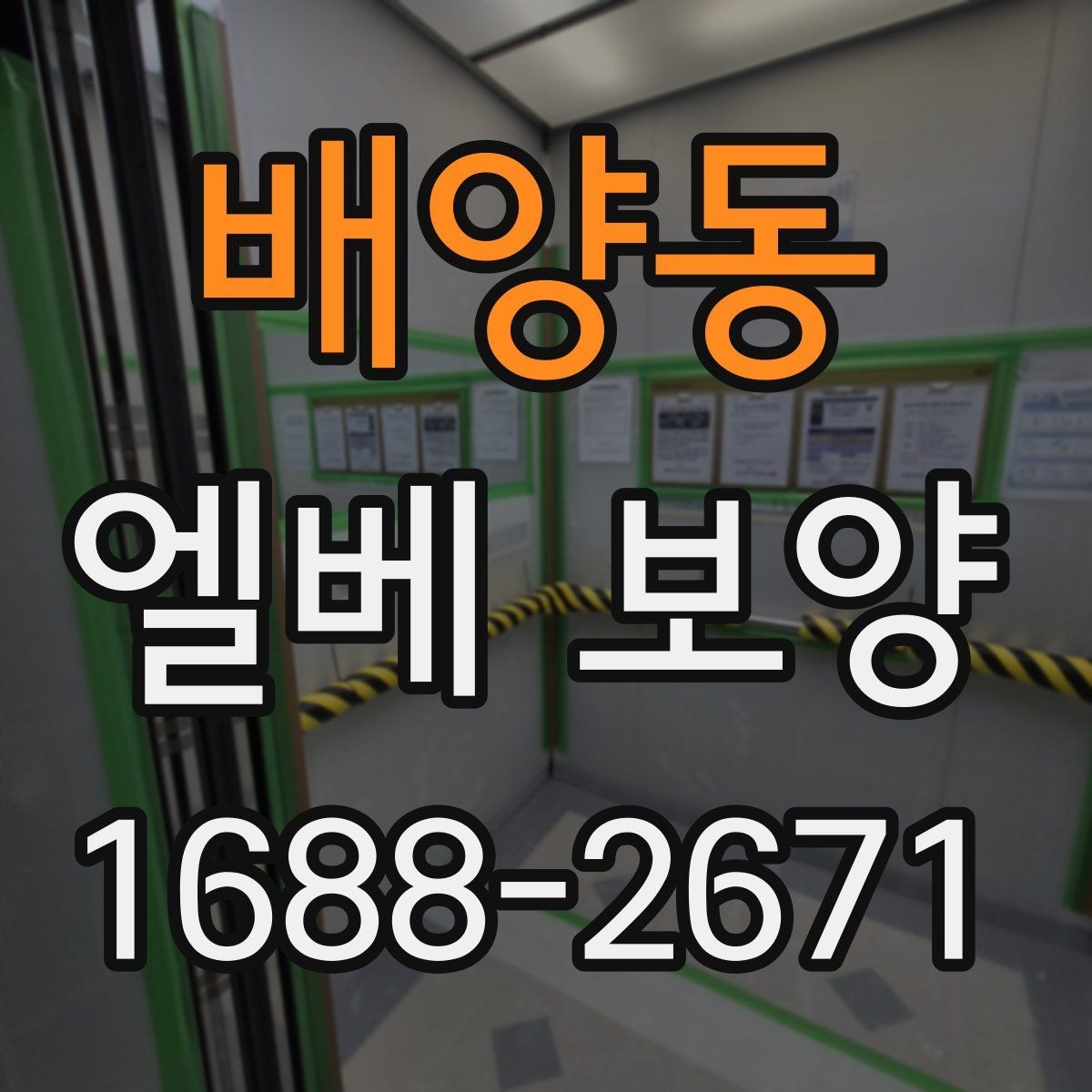 배양동 엘베 보양 여름철 고온 환경에서 자재 변형 줄이기